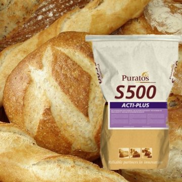 S 500 ACTIPLUS KG 25